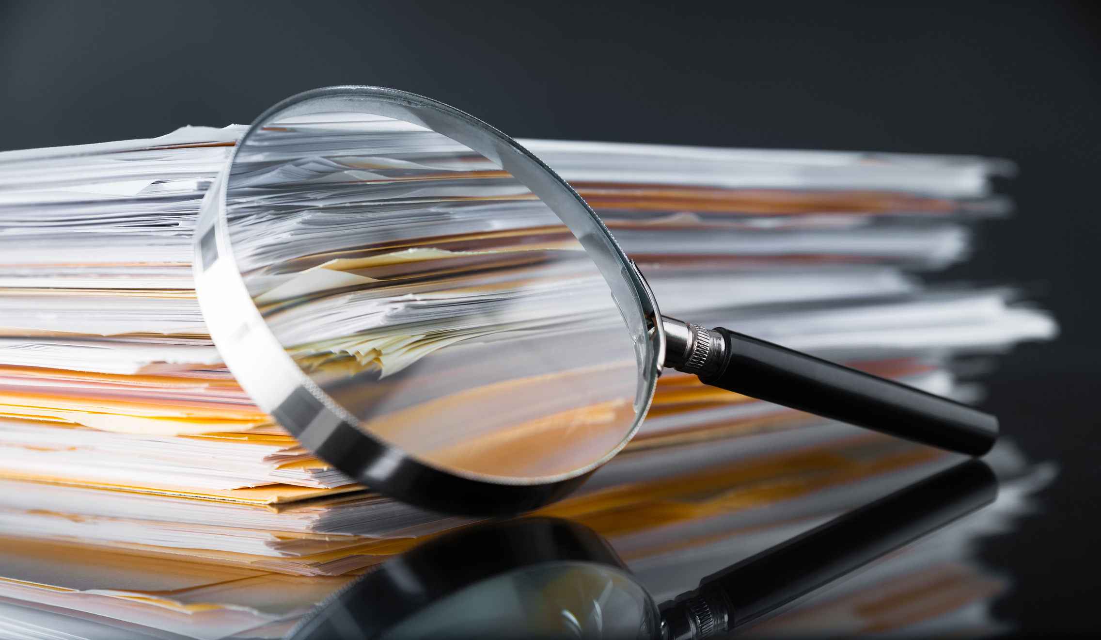 Featured image for “12 Steps to a Successful Search”